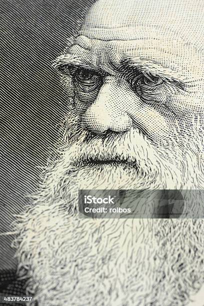 Charles Darwin Retrato De Grabado Foto de stock y más banco de imágenes de Charles Darwin - Naturalista - Charles Darwin - Naturalista, Retrato, Anticuado