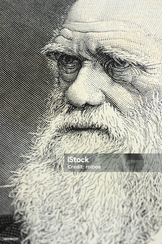 Charles Darwin retrato engraving - Foto de stock de Charles Robert Darwin - Ciência royalty-free