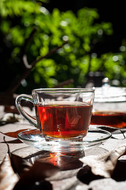 istock Tea Break in the garden with Hot Tea Cup 483784402