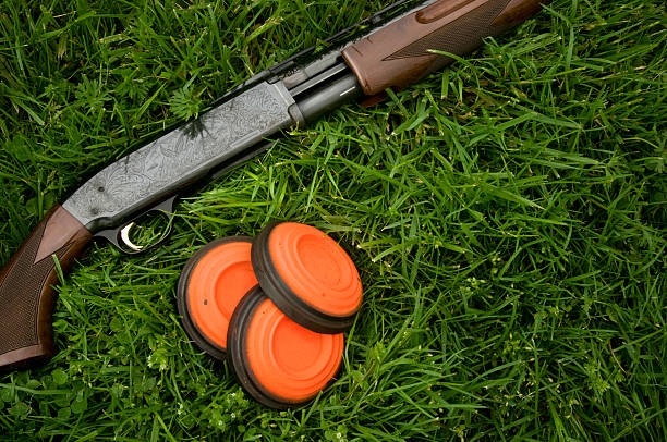 SUITE Shotgun y clay pigeons sentar en hierba - foto de stock