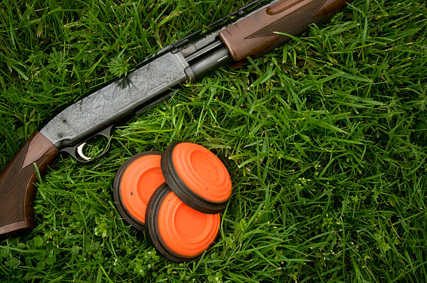 Shotgun and clay pigeons laying in grass stock photo