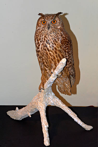 istock festival of the owls 483785145