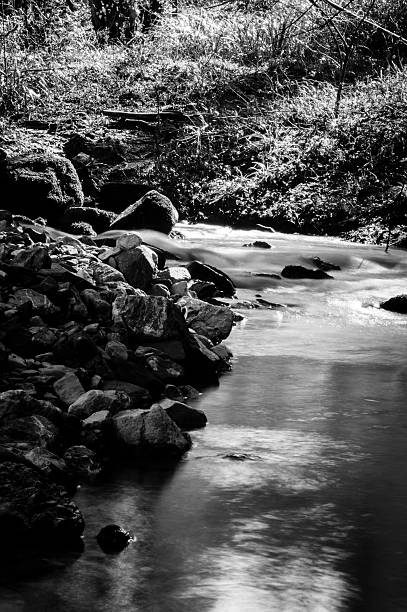 istock Brook and Woods in Tuscany 483785839