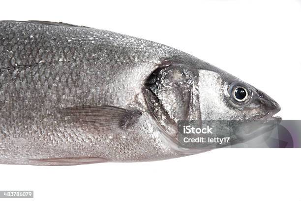 Sea Bass Stockfoto und mehr Bilder von Einzelner Gegenstand - Einzelner Gegenstand, Einzelnes Tier, Fisch