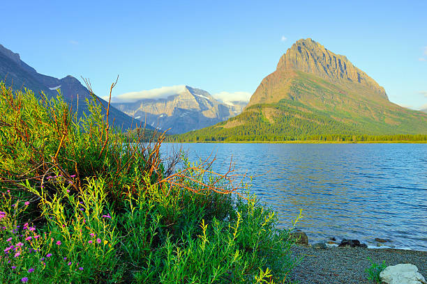 istock swiftcurrent lake in Glacier National Park 483786104