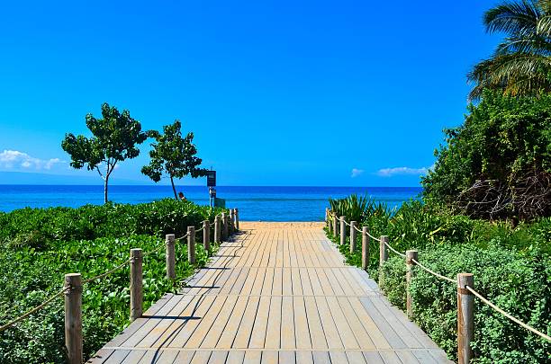 Wooden walkway to the beach stock photo