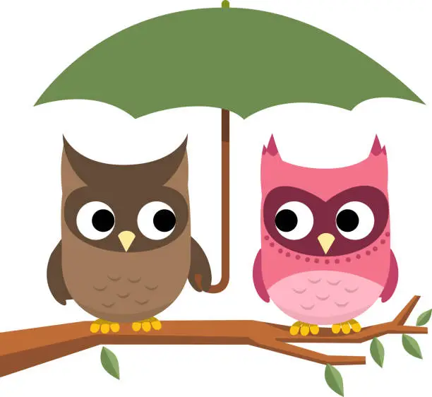 Vector illustration of Owl couple perching under Umbrella