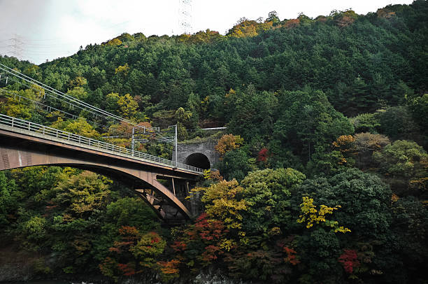 istock Ancient romantic vintage railway in deep Autumn forest in Japan 483788785