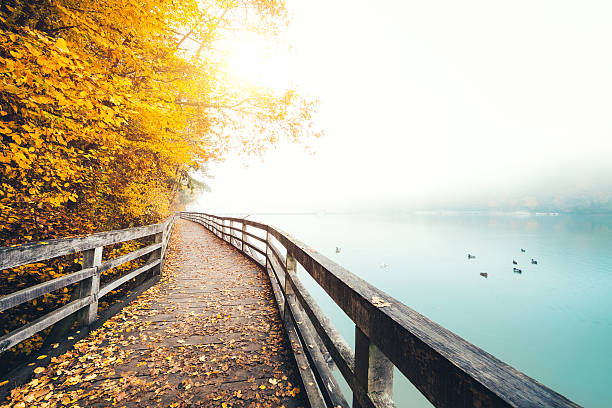 Autumn Path Along The Lake Footpath with a wooden fence by the misty lake. Early morning view with sun shinning through the fog. fall scenery stock pictures, royalty-free photos & images