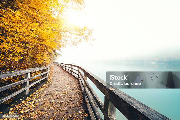 Autumn Path Along The Lake Stock Photo - Download Image Now - Autumn, Footpath, Landscape - Scenery