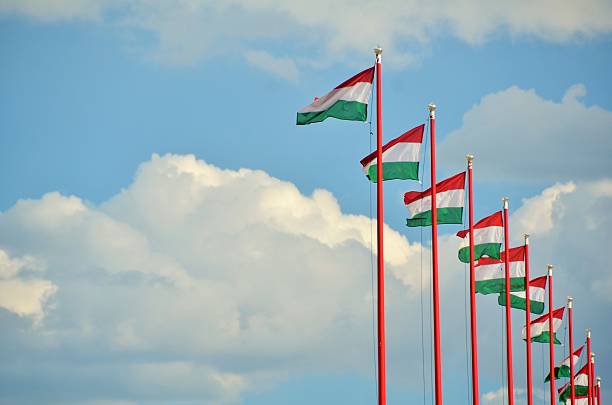 10 Hungarian flags atop flagpoles blowing in the wind near Budapest Castle against a cloudy spring sky