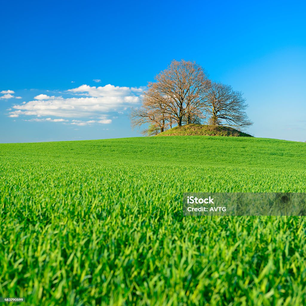 Prehistoric Burial Mound in Spring Field Landscape STITCHED from 2 D800 frames Agricultural Field Stock Photo