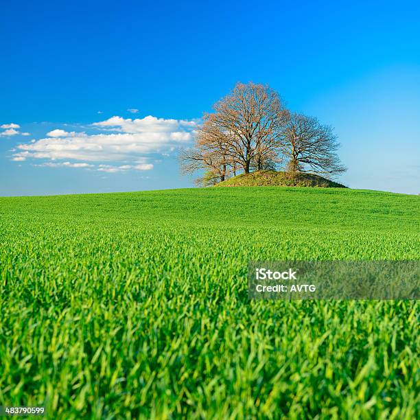 Prehistoric Burial Mound In Spring Field Landscape Stock Photo - Download Image Now - Agricultural Field, Agriculture, Ancient