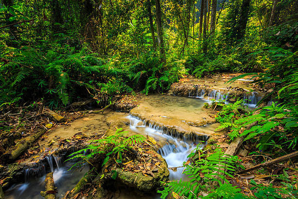 istock wonderful waterfall with colorful tree in thailand 483790674