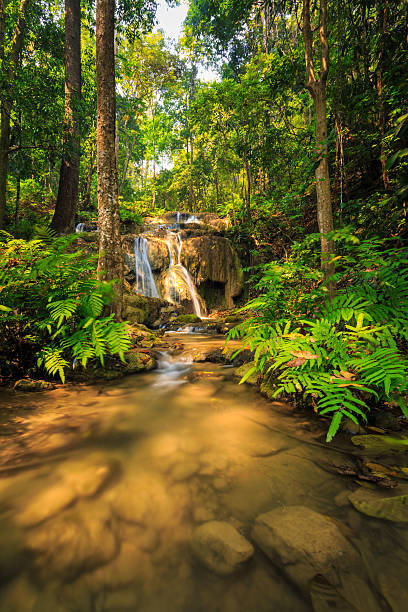 istock wonderful waterfall with colorful tree in thailand 483790706