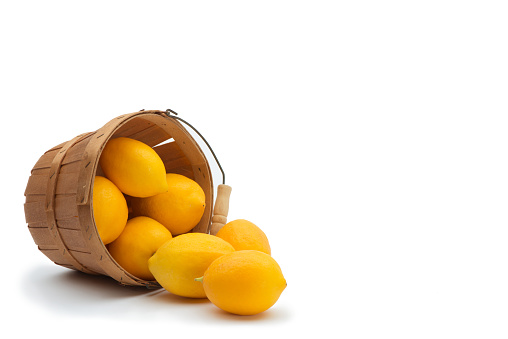 This image is a basket of Meyer lemons (a cross between a true lemon and an orange) spilling out of a fruit basket onto a 255 white background