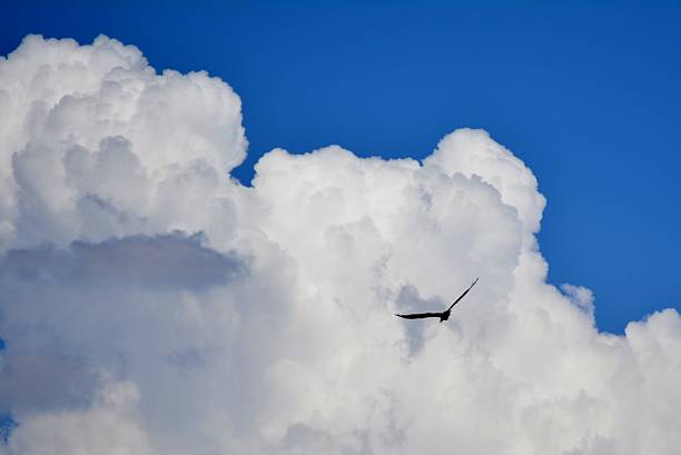 Clouds stock photo