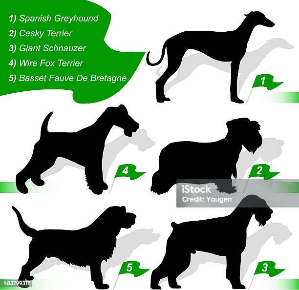 Exposição Canina Vector - Arte vetorial de stock e mais imagens de Símbolo de ícone - Símbolo de ícone, Animal, Animal de Estimação