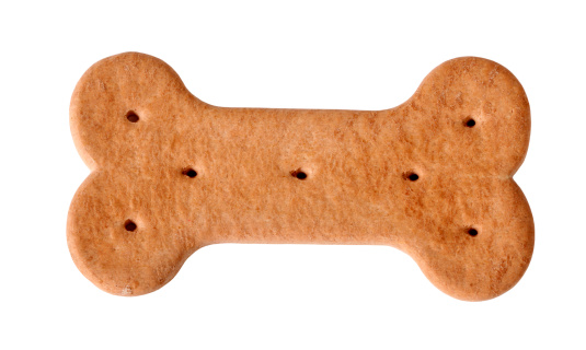 Dog food biscuit shaped like bone