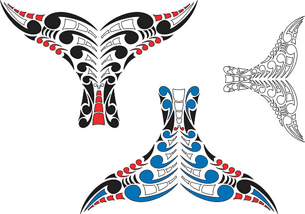 Maori Koru Whale Tail Design Stylised Maori Koru Whale Tail Design with color variations koru stock illustrations