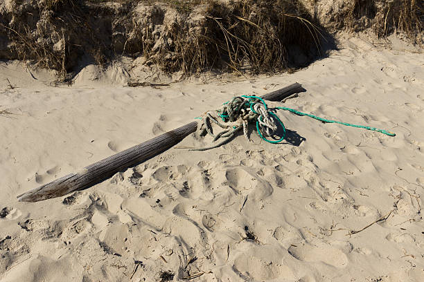 istock Driftwood and rope washed up on the beach 483803738