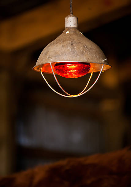 Lamp Stock Photos, Pictures Royalty-Free Images - iStock | Restaurant heat lamp, Outdoor heat lamp, Heat lamp food