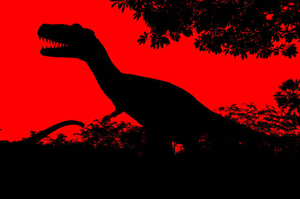 the silhouettes of dinosaurs the silhouettes of dinosaurs coelurosauria stock pictures, royalty-free photos & images