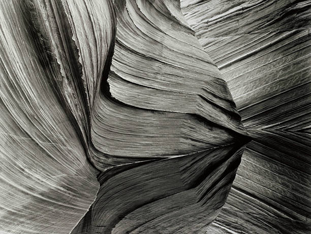 istock The Wave in Coyote Buttes Arizona 483804333