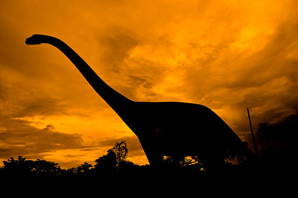 the silhouettes of dinosaurs the silhouettes of dinosaurs coelurosauria stock pictures, royalty-free photos & images