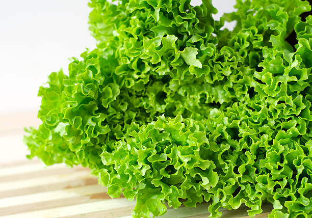 istock Fresh green lettuce salad leaves closeup 483807370