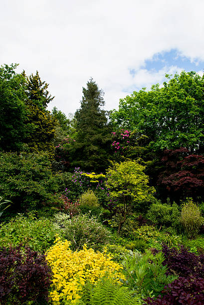 istock Beautiful English Garden in Summer 483808076