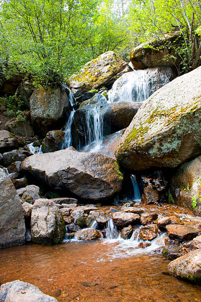 cristallo cade nella foresta nazionale di picco - white water atlanta foto e immagini stock