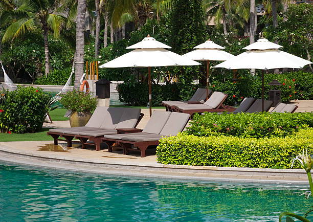 тропический курорт - parasol formal garden furniture sofa стоковые фото и изображения