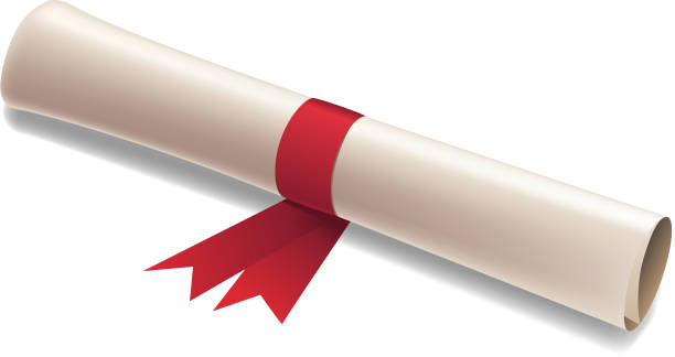 diplom - diploma certificate rolled up paper stock-grafiken, -clipart, -cartoons und -symbole