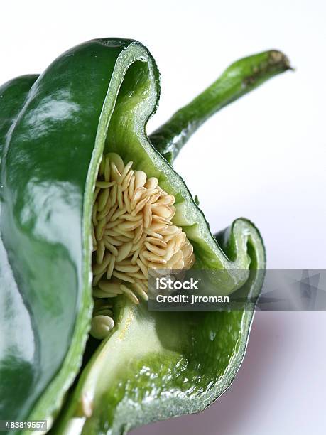 Poblano Pepper Stock Photo - Download Image Now - Bell Pepper, Burning, Chili Pepper