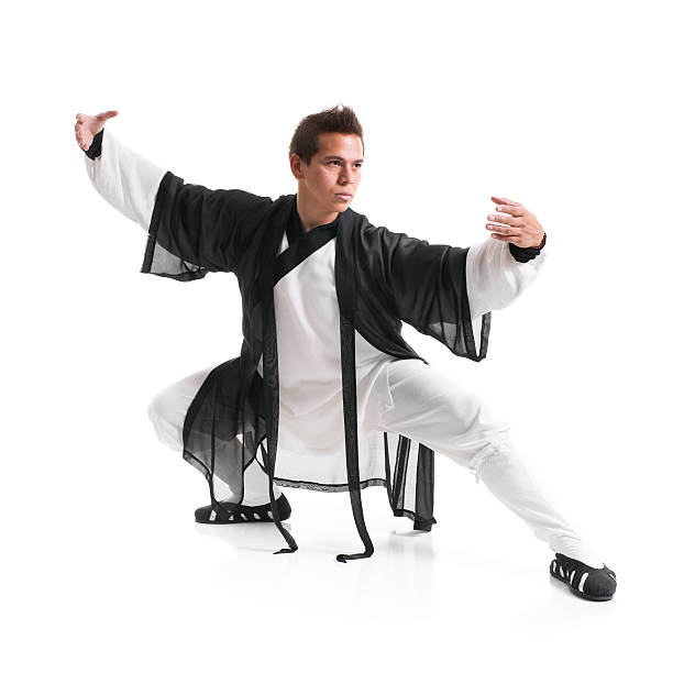 Kung Fu Master stock photo