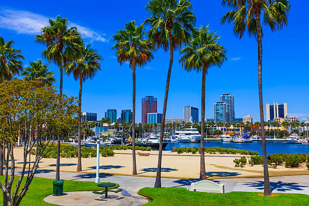 istock Skyscrapers of Long Beach skyline,harbor,palm trees,CA (P) 483820996
