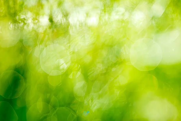 Abstract defocused nature background stock photo