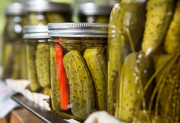 Jars of homemade dill pickles.