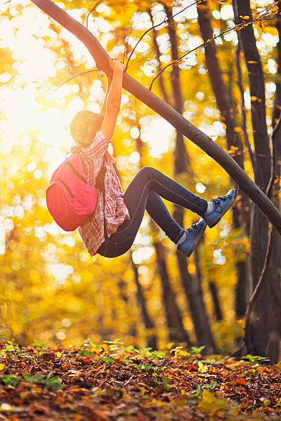 istock Little girl climbing the tree in autumn 483826220