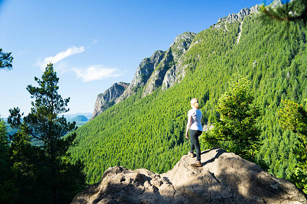 istock Woman Looking At Mountains 483828228