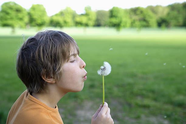 istock Close up of boy blowing dandelion seeds 483830324