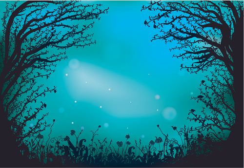  deep fairy forest silhouette at night, fireflies in the  summer forest