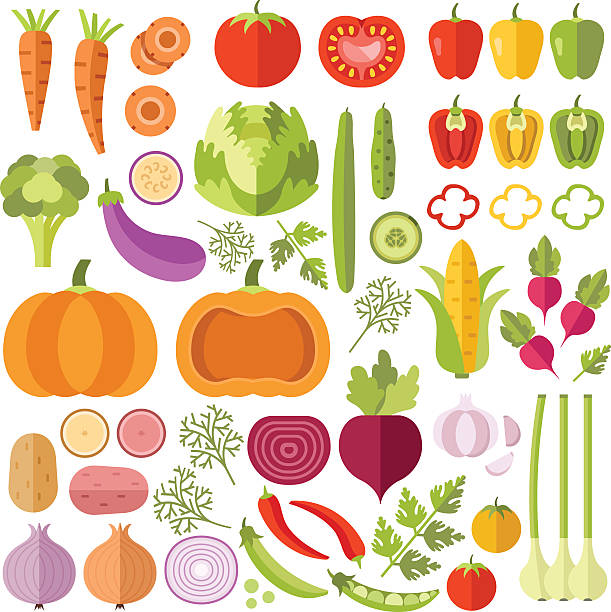 ilustrações de stock, clip art, desenhos animados e ícones de conjunto de ícones plana de produtos hortícolas - onion vegetable leaf spice
