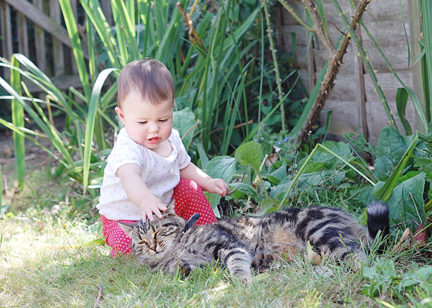 istock Little baby playing with a cat in the garden 483832963
