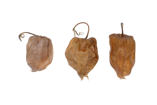 Cape Gooseberry, Physalis isolated on white background