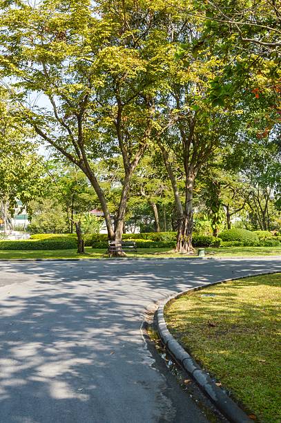 istock road in nature garden 483833766