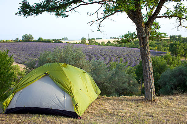 Tents on Welsh hillside with a view over coastal estuary of the River Dwyryd to Portmerion and the Snowdon mountain range in Wales, UK. 