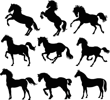  Silhouettes of nine horses standing and in action.