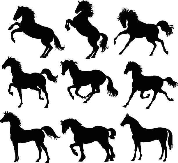 Horses Silhouettes  Silhouettes of nine horses standing and in action. mustang stock illustrations